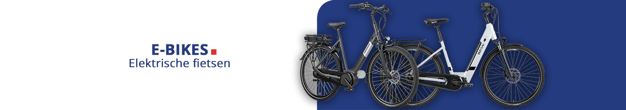 Elektrische fietsen