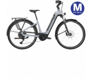 BESV Metallic Steel E-Bike