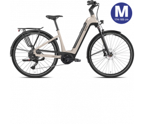 BESV Metallic Steel E-Bike