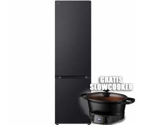 LG Koelvries 384 liter