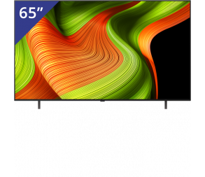 LG 65 inch/140 cm OLED-TV