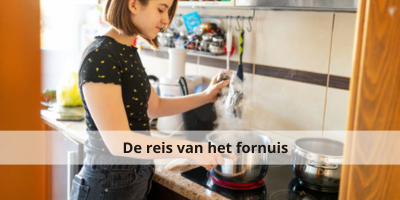 De geschiedenis van fornuizen